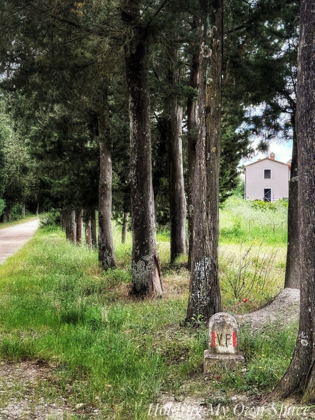 Recurring Dream of La Cucina della Nonna: A Portal to Childhood Joy