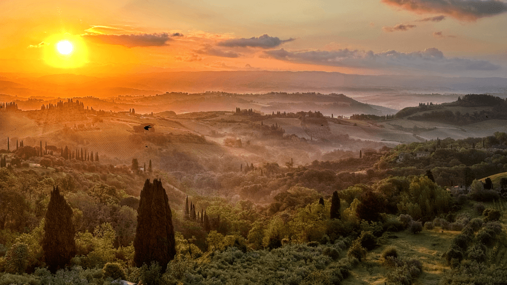 Holding Space: A Journey of Self-Discovery and Healing